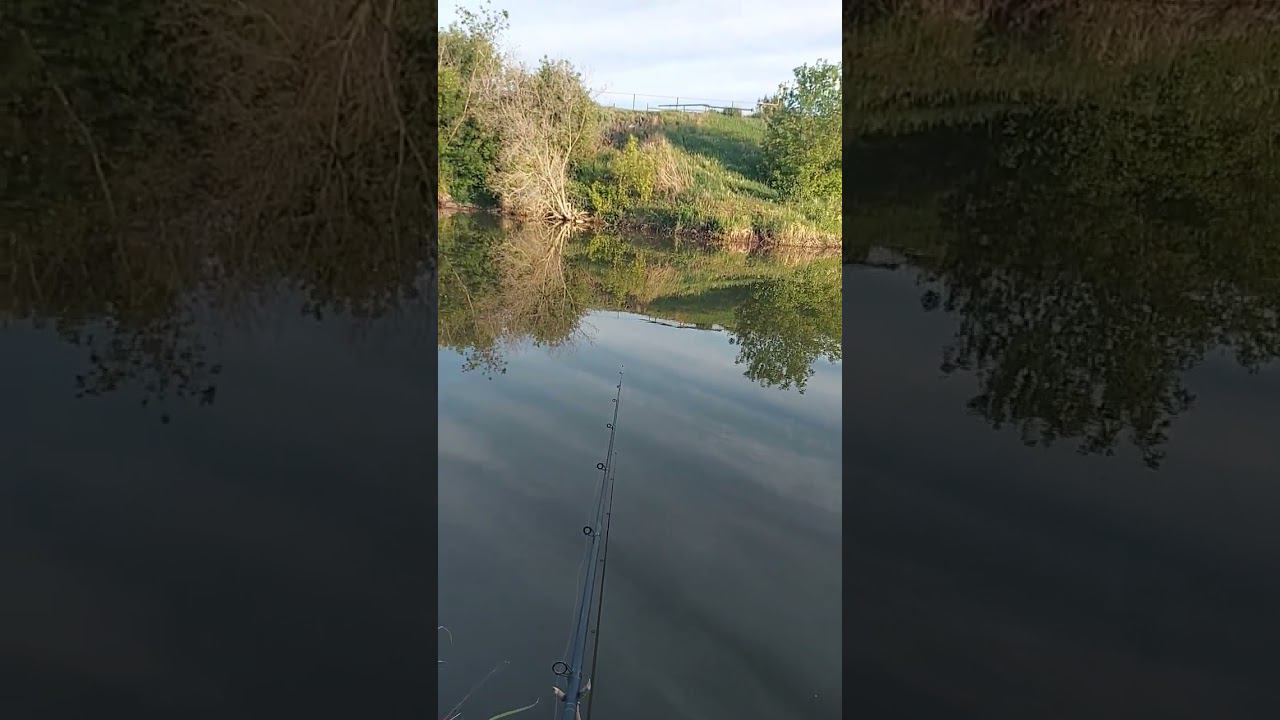 Рыбалка на поплавок смотреть онлайн