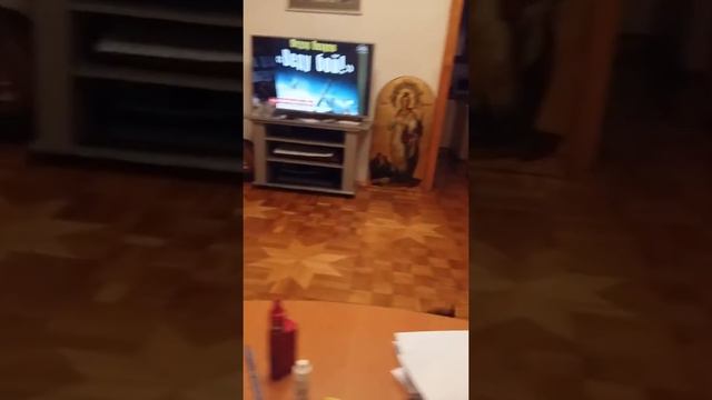 Цвергпинчер. Мини доберман. смотреть онлайн