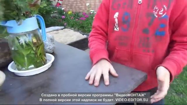 Мастер-класс. Зубов Алексей смотреть онлайн