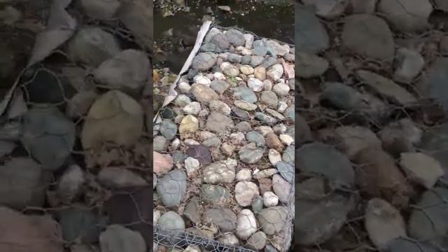Недавняя непогода обвалила деревья и «добила» новые ливневки на юге Ставрополя смотреть онлайн