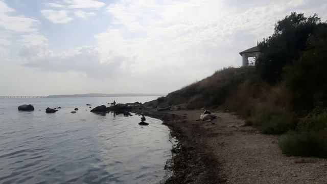 В Голубицкой Грязь, Болото, Медузы// А вот на Черном море хорошо смотреть онлайн