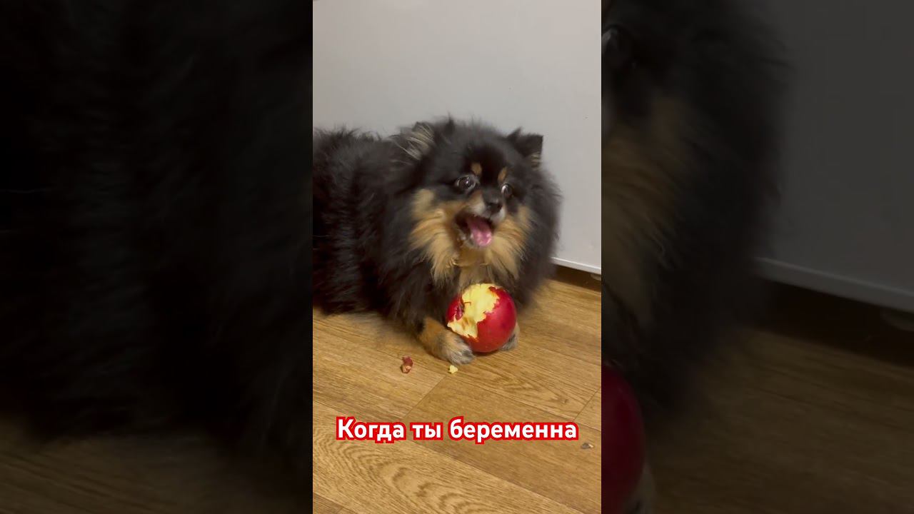 Когда не хватает витаминов смотреть онлайн