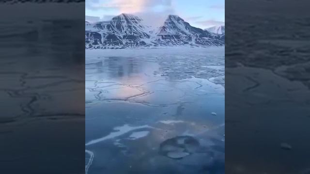 ЛЁД/ЧЕЛОВЕК МОРЖ/НЕ ЗАМЁРЗ ВО ЛЬДУ смотреть онлайн