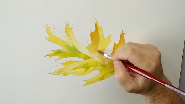 Realistic Leaf Painting in Watercolor – Botanical Illustration смотреть онлайн