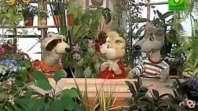 Шишкин лес. Зимний сад - 01- Как стать настоящим садоводом смотреть онлайн