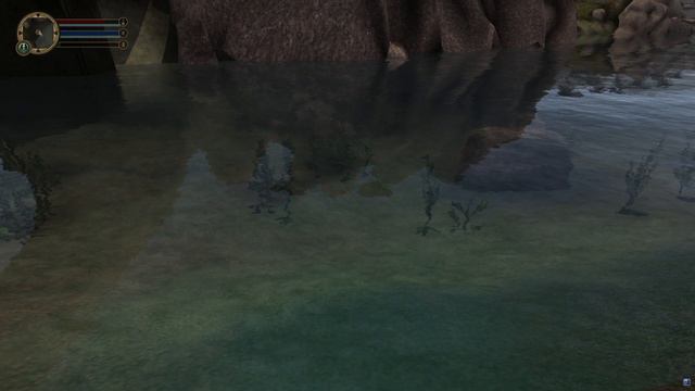 OpenMW 0.49.0 Development Has Finally Water RIPPLES !