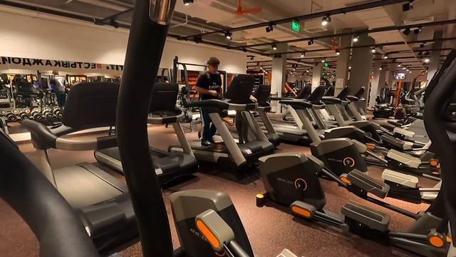 Притворился НОВИЧКОМ В ЗАЛЕ ,ПРОВЕРИЛИ САМОГО ДЕШЕВОГО ТРЕНЕРА С АВИТО смотреть онлайн