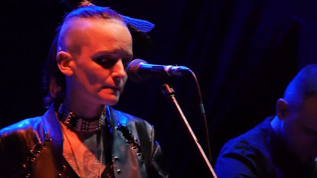 ZWYNTAR - Мексиканець (live TARAS BULBA 2018) смотреть онлайн
