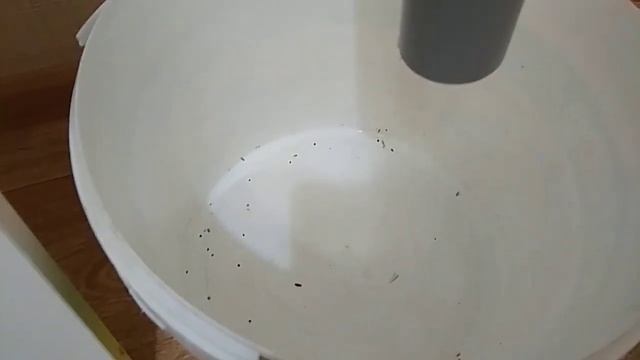 Веялка для очистки семян канарейкам. смотреть онлайн