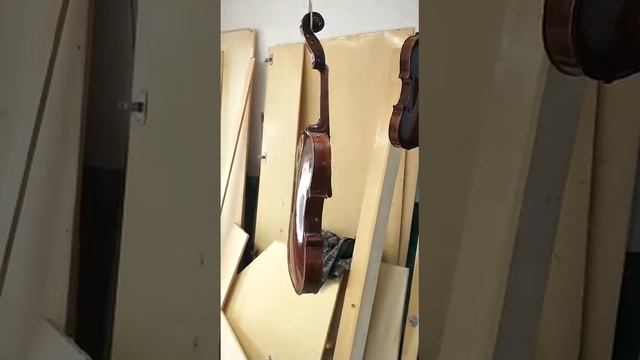 violino pintura especial смотреть онлайн