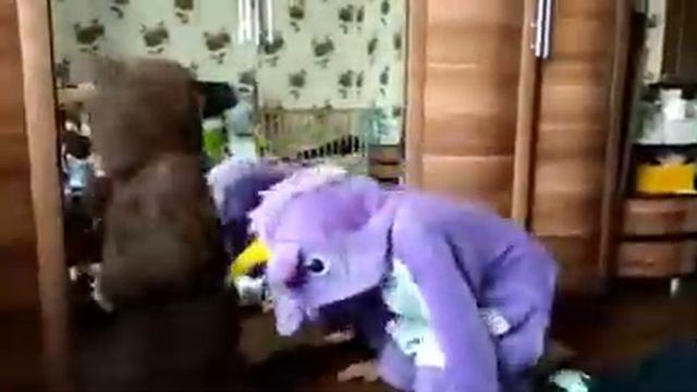 Обезьянка и единорог )))
#мама #обезьяна #дочка #москва #бузова #счастье #биткоин #дети #котельники смотреть онлайн