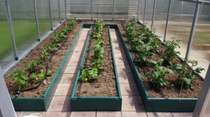 Как сделать грядки в теплице из поликарбоната