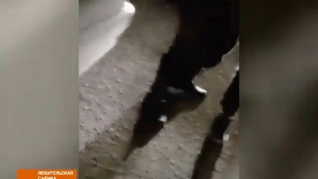 Пьяная погоня, пожары и аварии: обзор происшествий в Хакасии смотреть онлайн