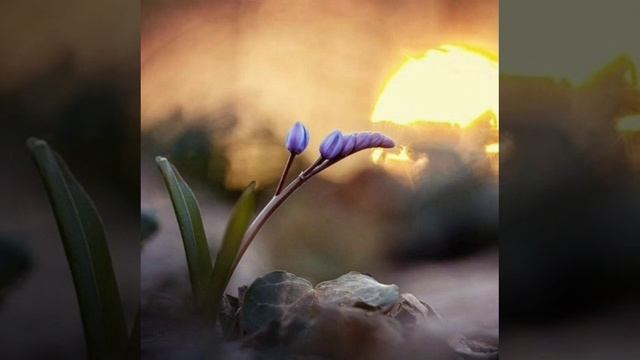 ЧИСТЫЙ ЧЕТВЕРГ. ПРИМЕТЫ И ОБЫЧАИ #приметы #обряды