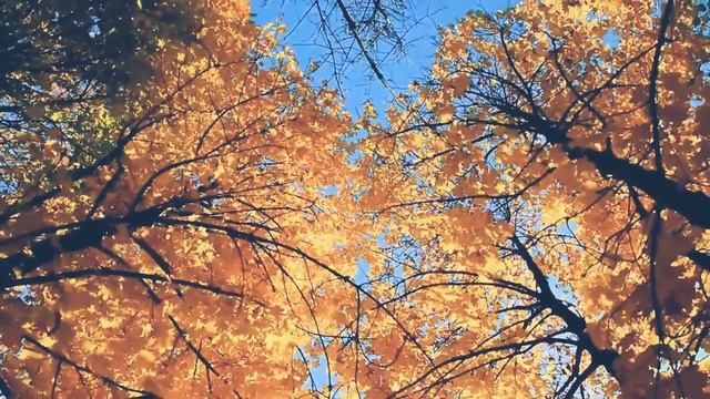 Кирилл Померанцев - Осенние звездные тени... смотреть онлайн