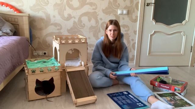 Выгул для крыс или как организовать выгул для крыс. Делаем домик из коробки для крыс