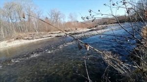 KUGOO C1 plus -Экстремальные испытания в тайге!