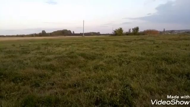 Сенокос мотоблоком 2019. Крайнее поле этого года. смотреть онлайн