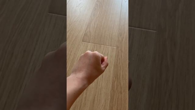 Как научить собаку команде дай лапу часть3 смотреть онлайн