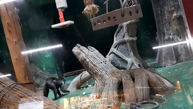 VLOG : Поездка в Москву 1 / 3 смотреть онлайн