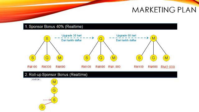 NLC BIZ PREVIEW смотреть онлайн