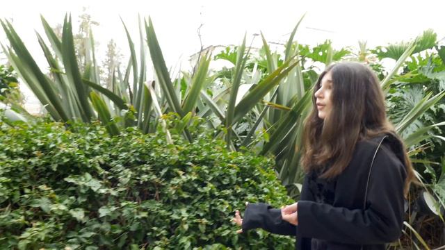ARENI E. - Saint Honesty -Sara Bareilles - A Beautiful Performance Celebrating Truth and Earth смотреть онлайн