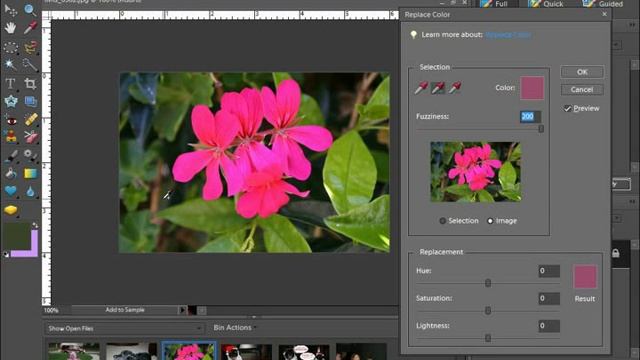 Photoshop Elements Tutorial Replacing Color Adobe Training Lesson 14.9 смотреть онлайн