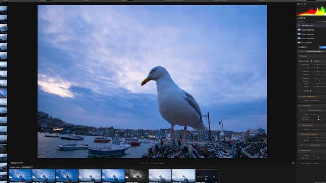 Luminar Or Photoshop Cheaper Photo Editing Software Review. смотреть онлайн