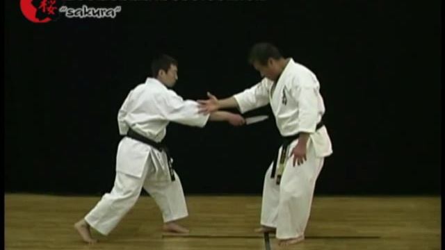 60. Камаэ (применение).mp4 смотреть онлайн