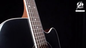 Sound Examples - Framus Dreadnought Acoustic