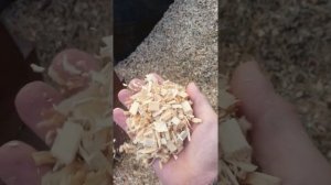 Баня из арболита щепкорез арболитомешалка