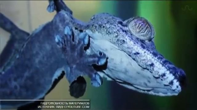 Параллели — Пластырь без боли смотреть онлайн