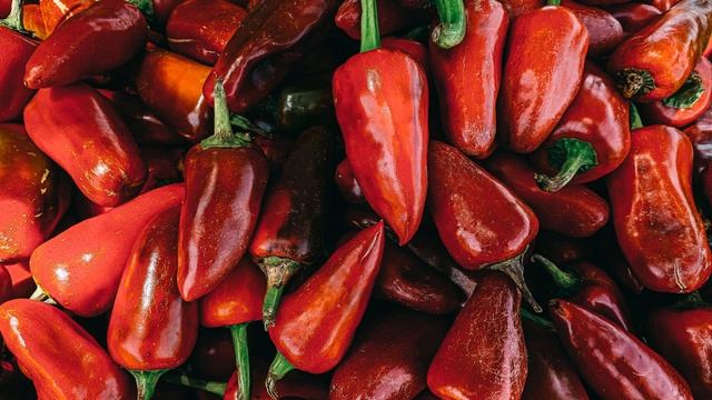 ПЕРЕЦ болгарский: сорта, рассада, уход смотреть онлайн