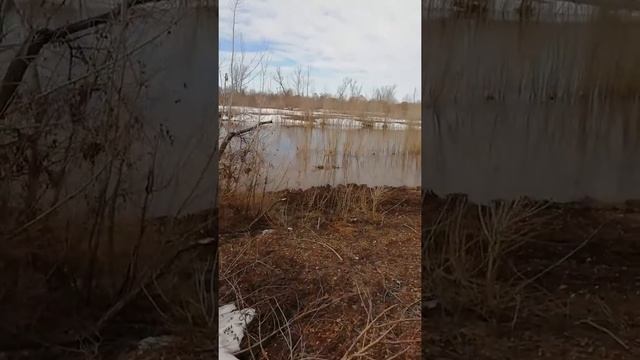 Весна - паводок 04.04.2019 года на речушке Ашкадар! Часть 1 смотреть онлайн