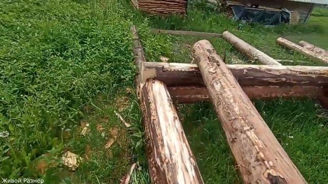 Как запилить лапу в бревне/рубка сруба/сруб лапа чаша смотреть онлайн