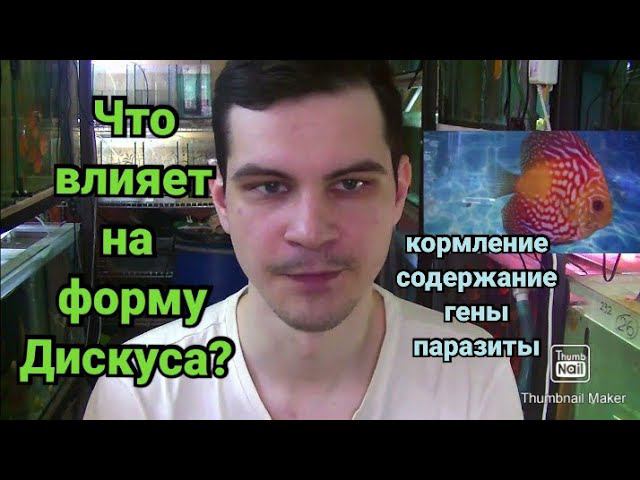 Качество рыбы словами любителя смотреть онлайн