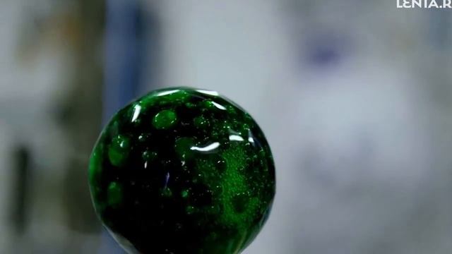 Опыт с водой и краской в невесомости смотреть онлайн