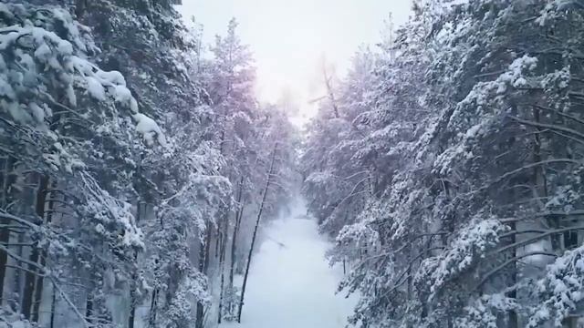 Джо Диспенза Благословение Энергоцентров Перестать быть Жертвой и Начать Жить Joe Dispenza смотреть онлайн