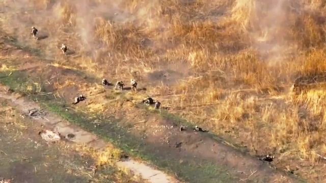 Кадры уничтожения позиций ВСУ на Запорожском направлении. смотреть онлайн