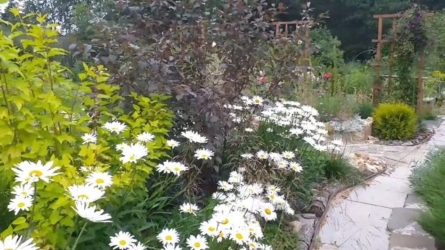 РОЗЫ + ЛИЛИИ и ФЛОКСЫ... Любуюсь и приглашаю вас. смотреть онлайн