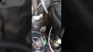 подсоединение вакуумных шланг к карбюратору к-151 змз-406