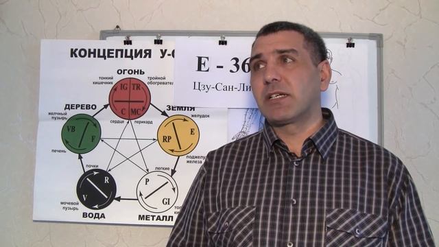 точка E36 Цзу-Сан-Ли в лечении 100 болезней смотреть онлайн