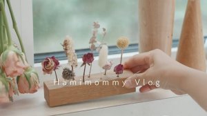 HAMIMOMMY 10 вещей, которые я больше не покупаю 🌱ㅣСоветы по экологичной жизни