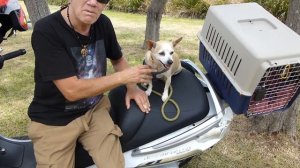 CFMOTO JETMAX 250 SCOOTER IS THE BEST VALUE MONEY CAN BUY