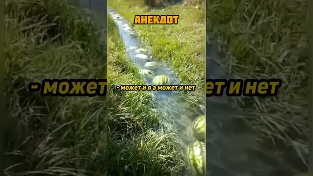 АНЕКДОТ ПРО ДЕВУШКУ В БАРЕ ? #юмор #анекдоты смотреть онлайн