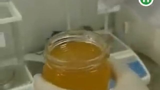 Большая разница мед липовый или "липовый" смотреть онлайн