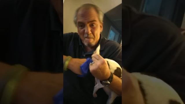 Anus Glands and Home Remedies смотреть онлайн