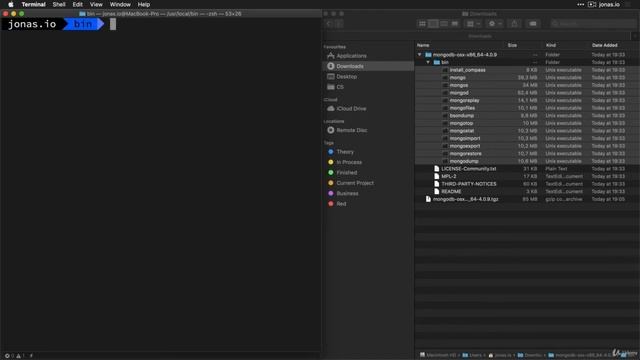 071 Installing MongoDB on macOS смотреть онлайн