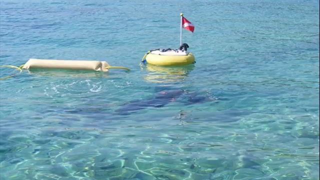 Apartmani Kumbor Herceg Novi Boka Kotor Montenegro Crna Gora смотреть онлайн