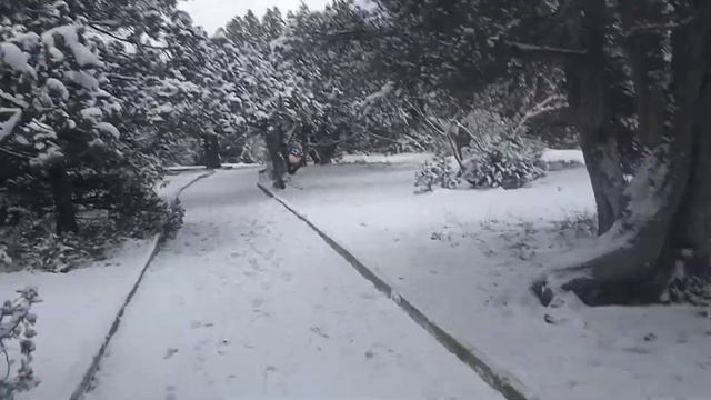 Николай II и князь Голицын. Заснеженный Новый Свет. #крым #зима2022 #новыйсвет #райназемле смотреть онлайн